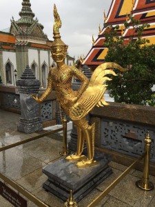 IMG_0119